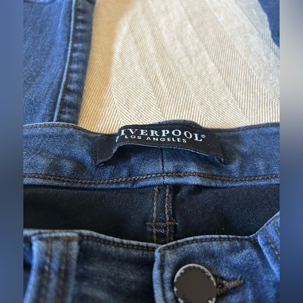 Liverpool Men's Denim Jeans in Deep Blue